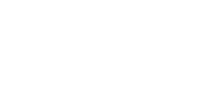 Shtark INK